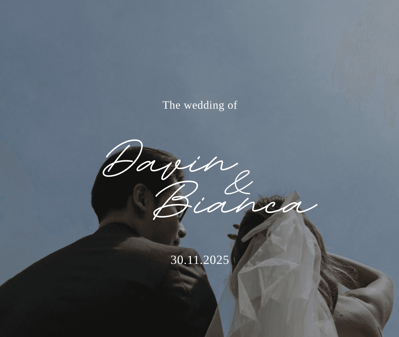 The Wedding of Davin & Bianca